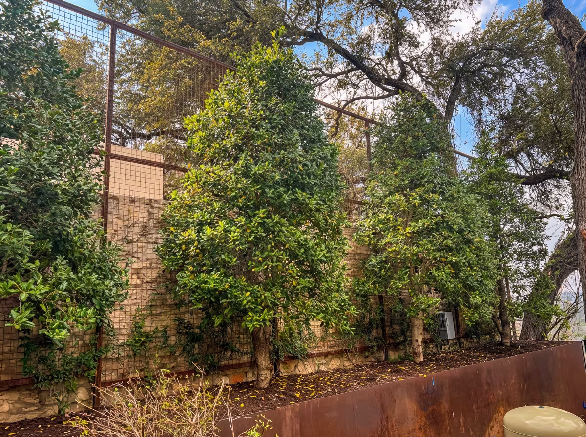 16-foot artificial living wall privacy screen at Austin mansion