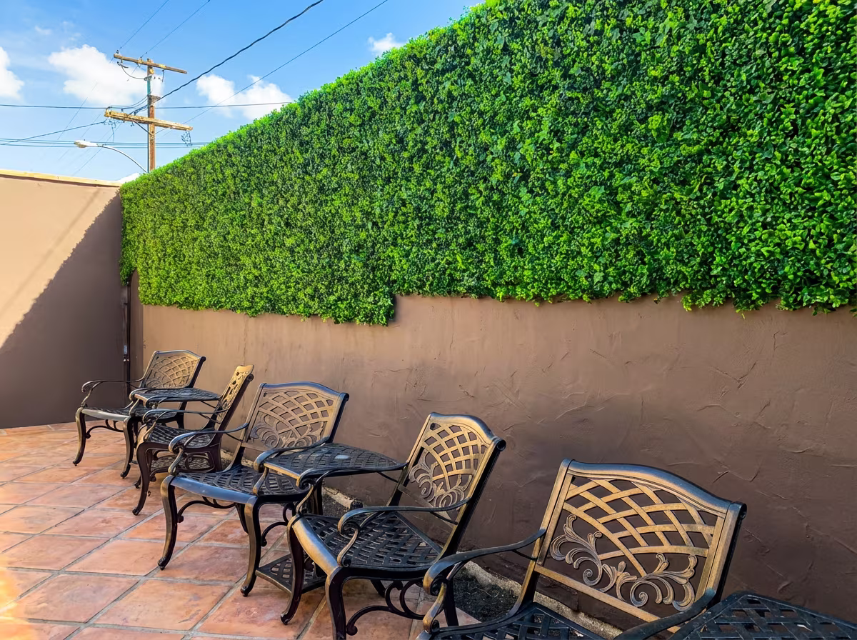 Dragon mat artificial living wall transforming San Diego backyard