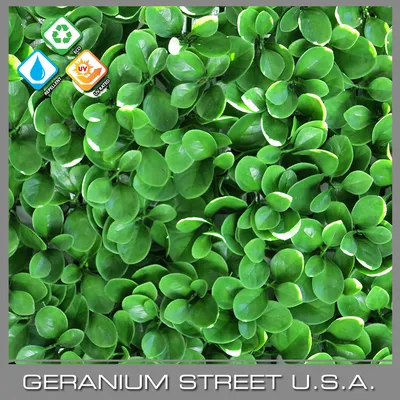 Succulent Mat Fire Retardant